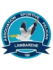 Pelican Lambarene