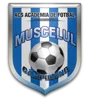 Muscelul Campulung