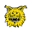 Ilves Youth