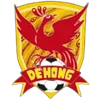 Dehong Team