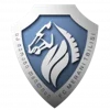 FC Merani Tbilisi